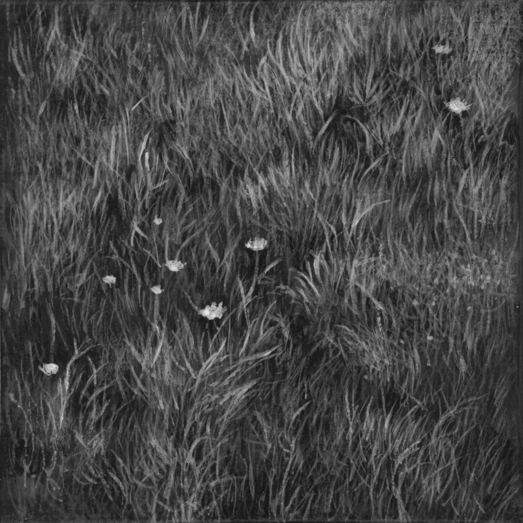 41-GrassAndMarguerites